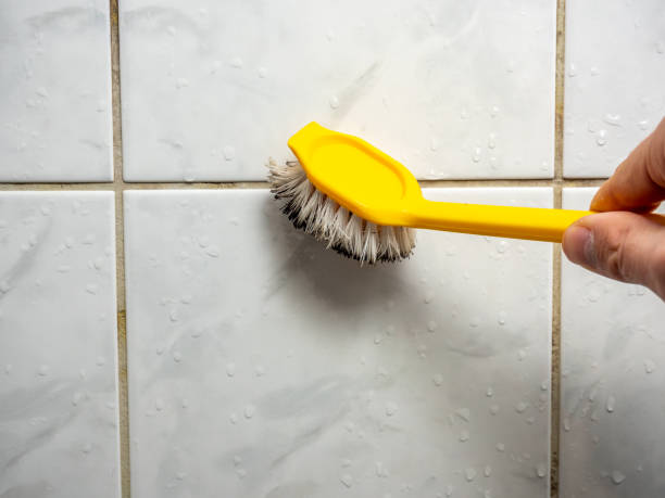 Best Affordable Mold Removal  in Richwood, LA