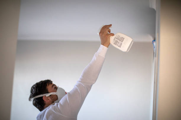 Best Attic Mold Removal  in Richwood, LA