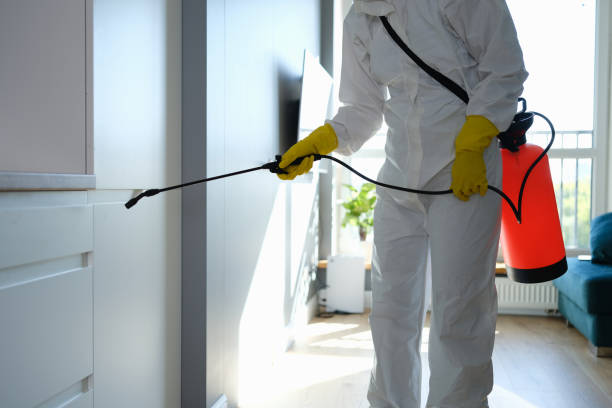 Best Professional Mold Removal  in Richwood, LA