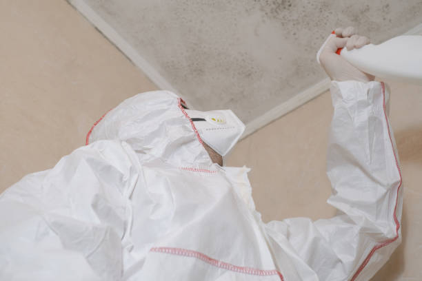 Best Crawl Space Mold Removal  in Richwood, LA